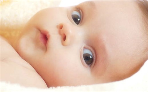 2023兔寶寶最火乳名男孩  兔年取名字男孩大全