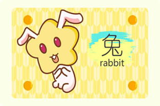 屬火兔的住多少樓比較好,屬兔子