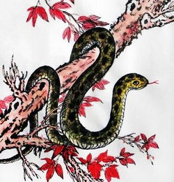 金土火人是屬蛇五行缺什麼,屬蛇1965年4月28號早8點生金,木,水,火,土缺少什麼