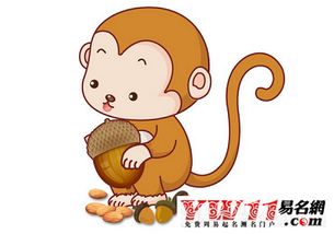 92屬猴是水命還是金命,1992年屬猴的是什麼命?五月17晚上愛問知