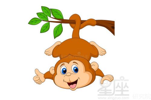 92屬猴的是哪種金命,1992年屬猴的是什麼命?五月17晚上愛問知