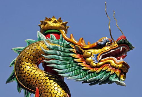 免費算命屬龍人女金命婚姻,請大師算命:一女孩76年農歷10月14日出生的,屬龍的,算算她的命