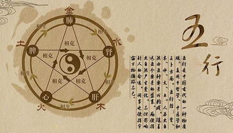 64生五行屬木還是屬火,64年出生的是什麼命?
