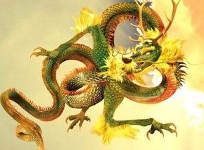 屬龍金命是啥意思,屬龍的人,40歲命理為桑柘木命是什麼意思不好意思我理解為是只能活