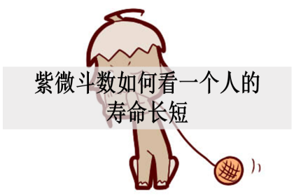 紫薇斗數能看壽命嗎