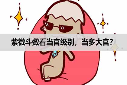紫微斗數看當官級別，當多大官？