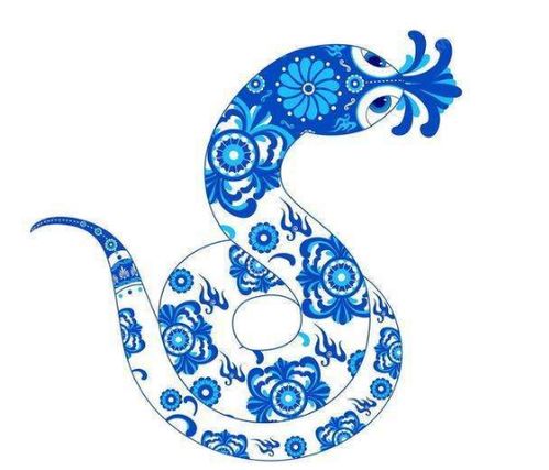 屬蛇火命佩戴什麼好,屬蛇應該佩帶什麼樣的?