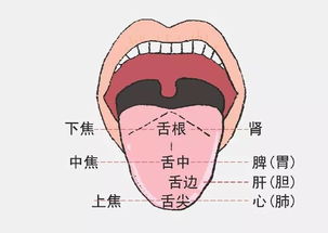 舌左邊痛屬什麼火,舌頭左邊痛是什麼原因?