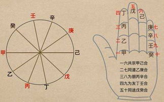 天干屬金啥意思啊,日主天干為金是屬金命的意思嗎