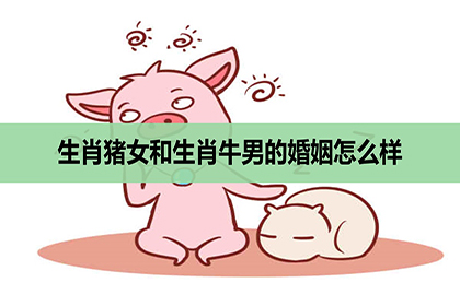 生肖豬女和生肖牛男的婚姻怎麼樣，相配嗎？