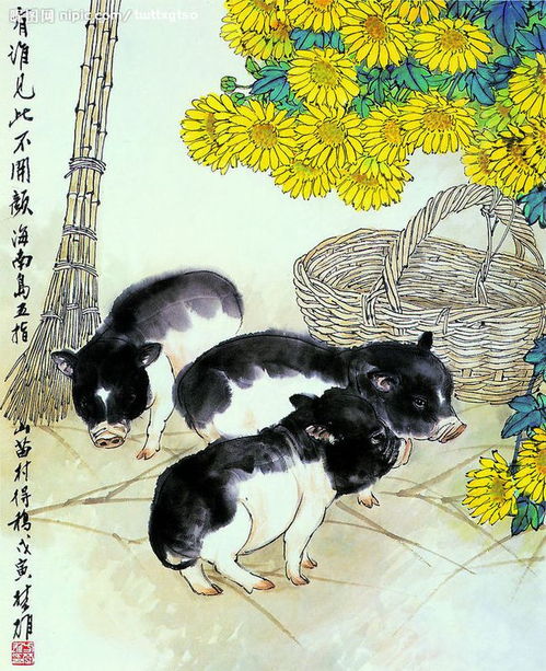 五行屬金可以養貓,我們的生辰八字與五行跟家居風水有什麼關系?