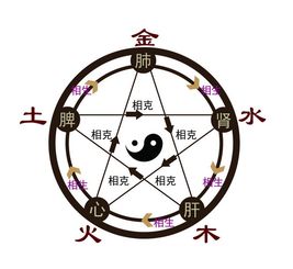 干是火地支是水五行屬啥,金木水火土的具體年份是什麼