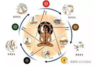 五行屬金對應五味的是什麼,請問五穀 五果 五畜 五菜與五行對應分別是什麼?