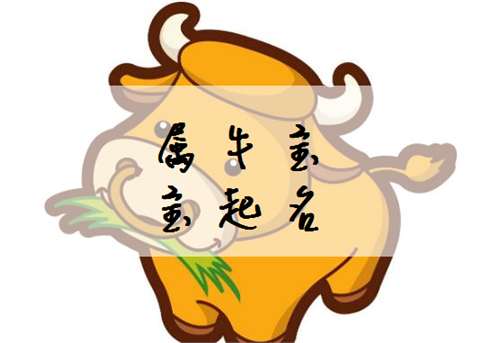牛出生男孩五行屬土缺火,五行土旺缺火怎麼辦
