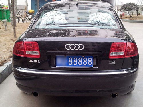 車牌屬水本人屬火怎麼辦,本人汽車泡水,車牌號怎麼處理?