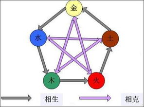 斌五行屬性屬水還是火,可五行屬性