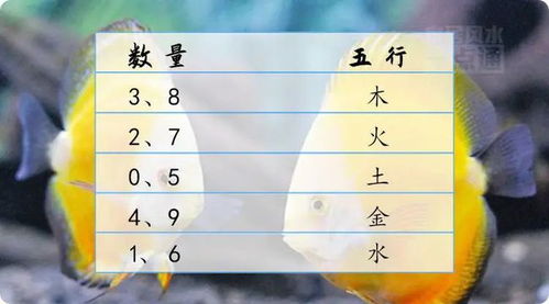 五行中屬金的命缺什麼顏色,請教一下我五行屬金,缺什麼,忌什麼?在傢具或配飾上面應該使用