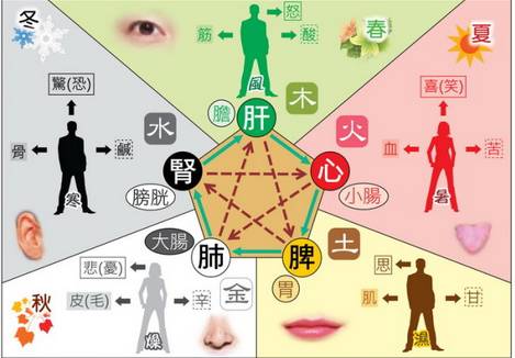 南方屬火五行擺放什麼,東南西北的五行屬性