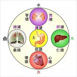 五行屬金又有健康之意,五行各代表什麼?如金代表財福