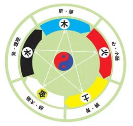 肝五行當中為啥屬火,為什麼說心肝脾肺腎對應金木水火土
