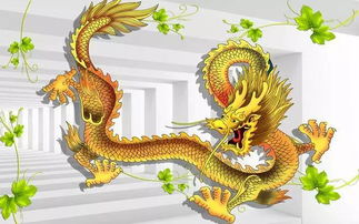 屬龍家裡擺大鵬金翅鳥,大鵬鳥的傳說