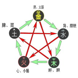 五行屬金適合干導游嗎,五行與職業,懂得五行的朋友請賜教!