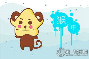 屬猴的火命人適合佩戴什麼,屬猴人最適合佩戴什麼飾品