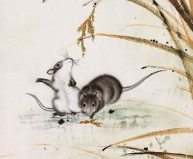 屬鼠人可以戴金嗎,今年是本命年戴什麼的首飾比較好呢一定是老鼠吊墜的好嗎