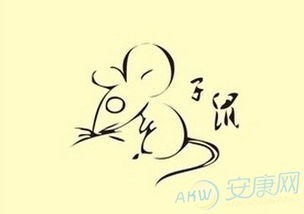 金貂己屬什麼五行,黃金貂,水貂,熊貓貂有什麼區別