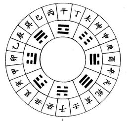 屬火之人天干無水,命五行木旺;日主天干為水,生於冬季;必須有木助,但忌火太多選擇