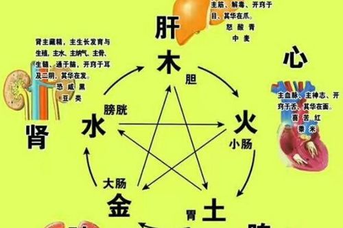 屬金土的是什麼數字,金,木,水,火,土的對應的數字是什麼