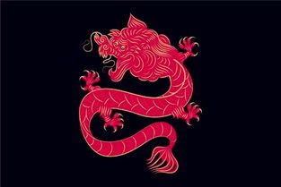 屬龍是火命還是水命,五行屬相表