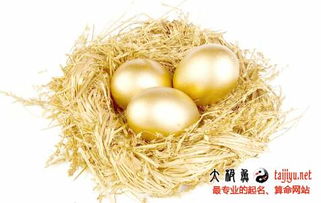 五行屬金的字男孩乳名豬寶寶,徵集寶寶乳名及大名寶寶,姓王,男孩子.屬豬,3月28日出生名字?