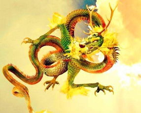 屬龍缺金用什麼手機殼,本命年龍年缺金