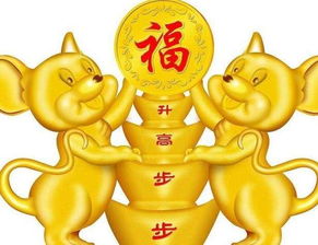 屬鼠海底金命怎麼改變財運,屬鼠的能帶五帝錢嗎