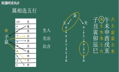 1986五行屬火選樓層,屬虎樓層風水的禁忌有哪些?
