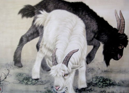 屬羊的命里缺水金火,1991年8月15日屬羊的命里缺什麼