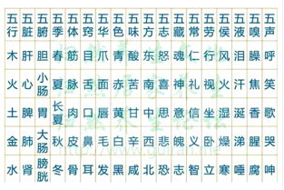 1995五行屬金還是土,1995年6月4日五行屬什麼
