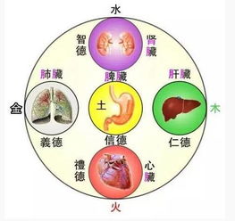 五行中黃金屬金還是屬土,震,兌,離,坎,巽,坤,艮,乾這八卦和金,木,水,火,土五行怎