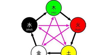 龜為啥五行屬火的字大全男孩,想起後面1個字是五行屬木火的字?給寶寶起名字