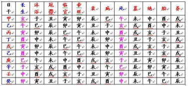 3和8是屬火還是屬木,金木水火土在中醫中分別對應的是哪些器官