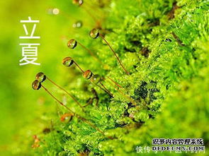 夏天屬火還是涼血好,求醫:請問血熱是什麼?