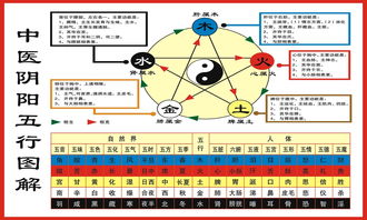 五行中肝屬金火木,請幫我解釋:此命五行金旺;日主天干為火;必須有土助,但忌金太多