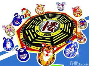 屬土又屬金的生肖,是土是金又是水是什麼生肖