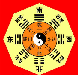 八卦丙午屬陽火是什麼數,1969年在五行中是什麼???