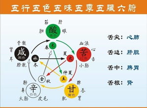 皮膚五行屬辛金還是庚金,五行金多代表什麼