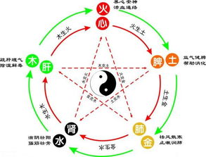 睿是金五行屬什麼關係,馬睿博五行屬性是什麼?