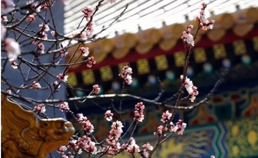增加桃花運的卧室風水 粉色裝飾提高桃花運