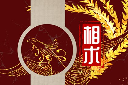 貴人面相有啥特徵 面相極佳人緣運旺