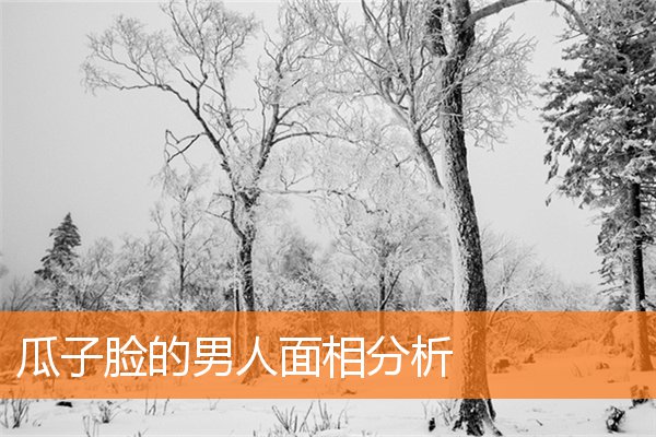 瓜子臉的男人面相分析